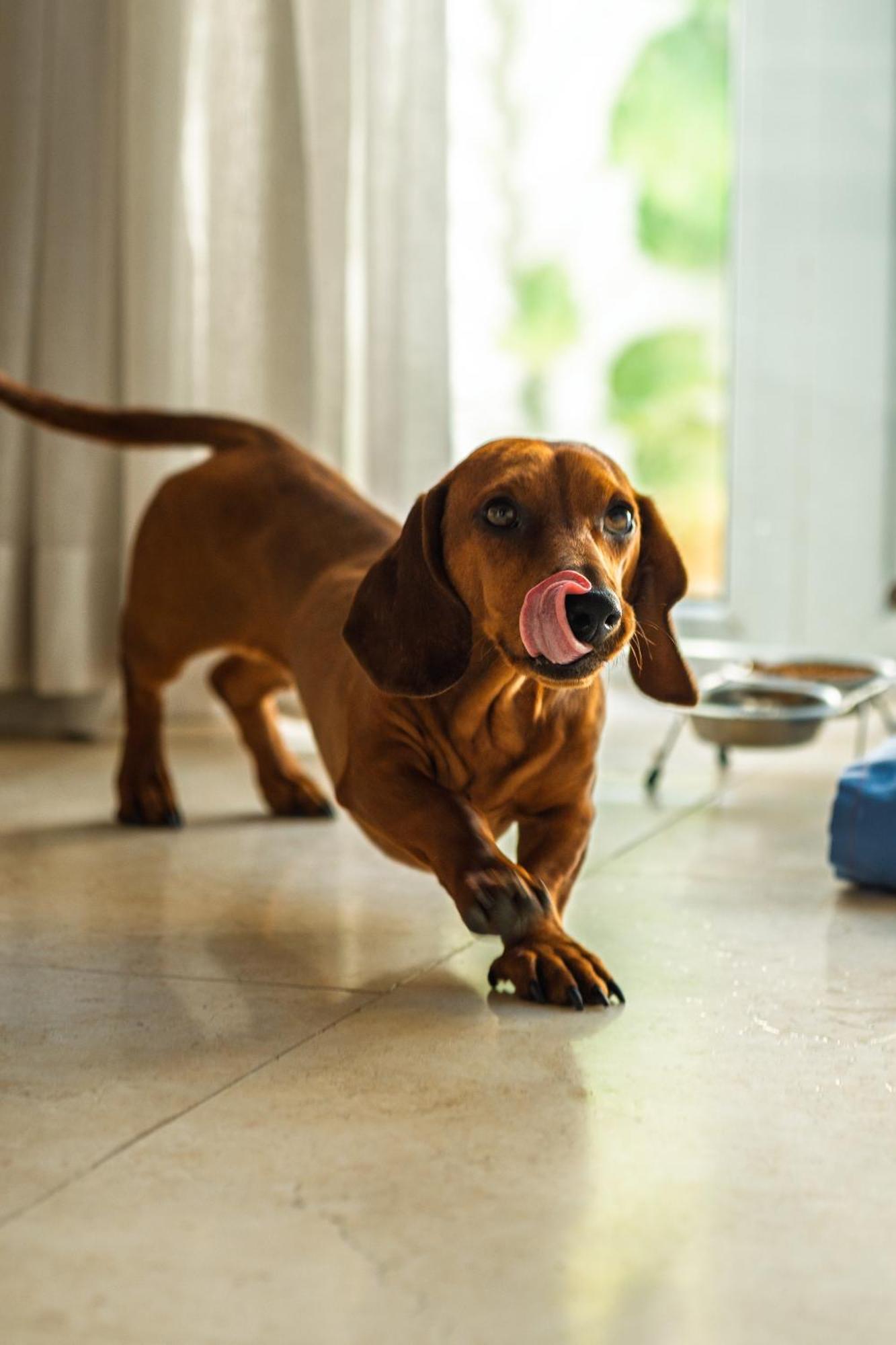 Hotel Nacar Cartagena, Curio Collection By Hilton Cartagena