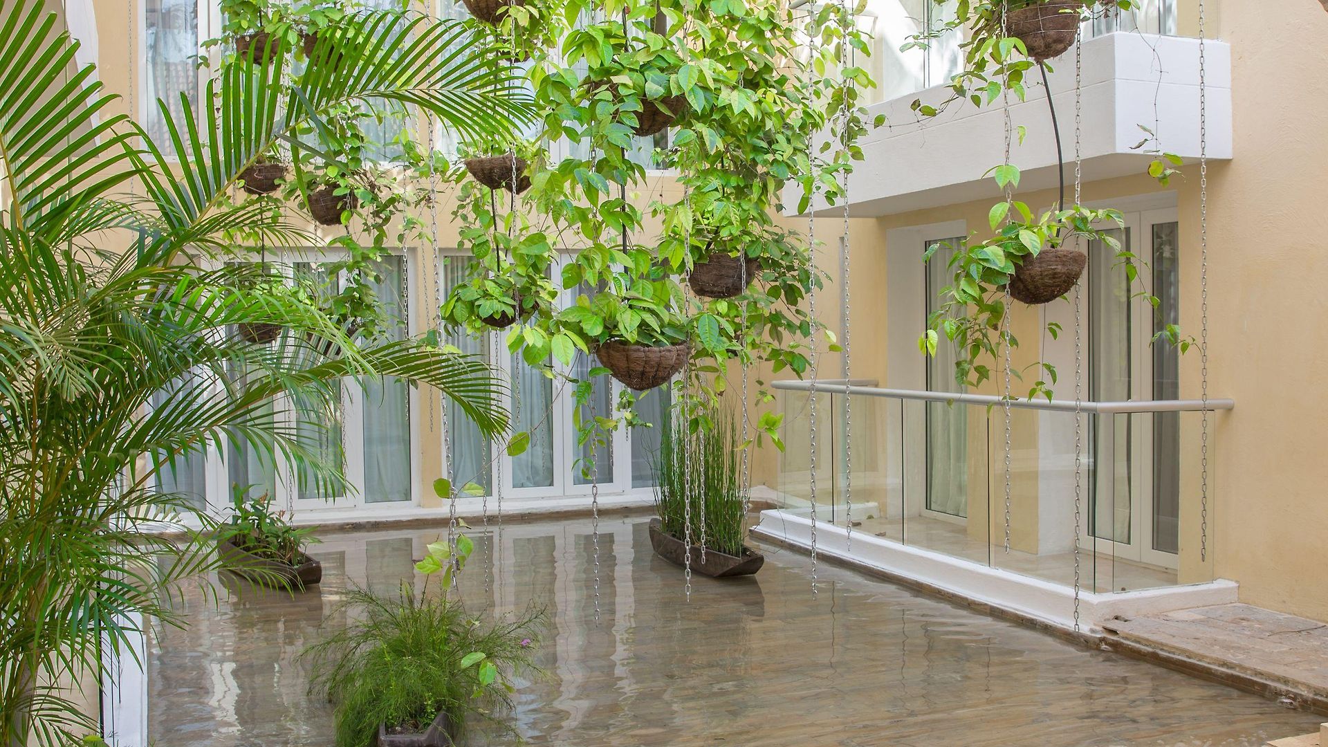 Nacar Cartagena, Curio Collection By Hilton