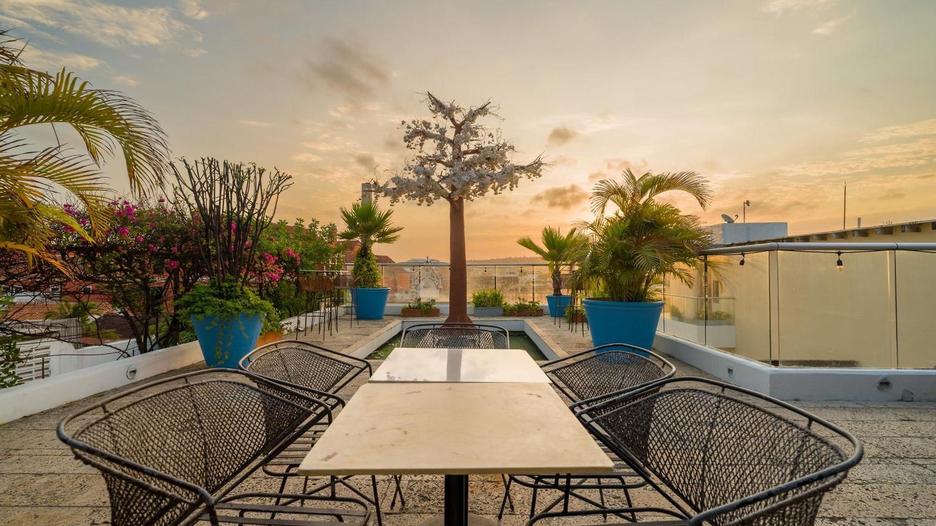 Nacar Cartagena, Curio Collection By Hilton