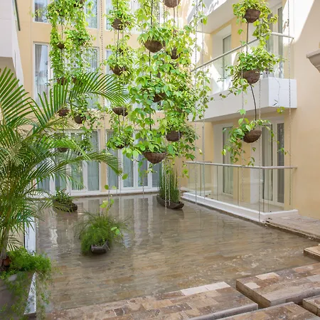Nacar Cartagena, Curio Collection By Hilton